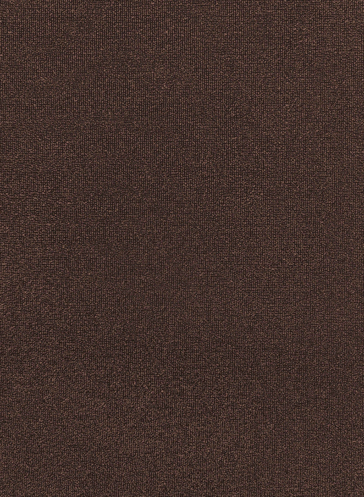 Eden Glitter Top - Bronze