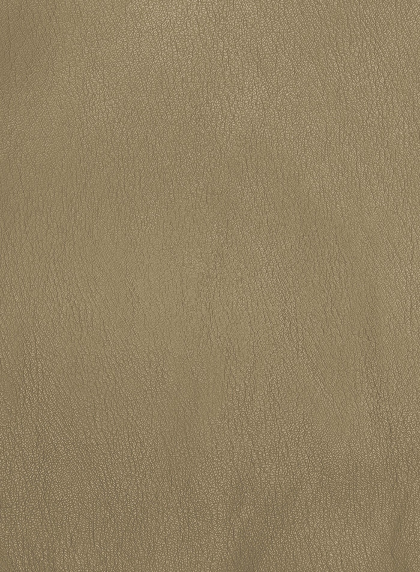 Expression Pant - Light Khaki