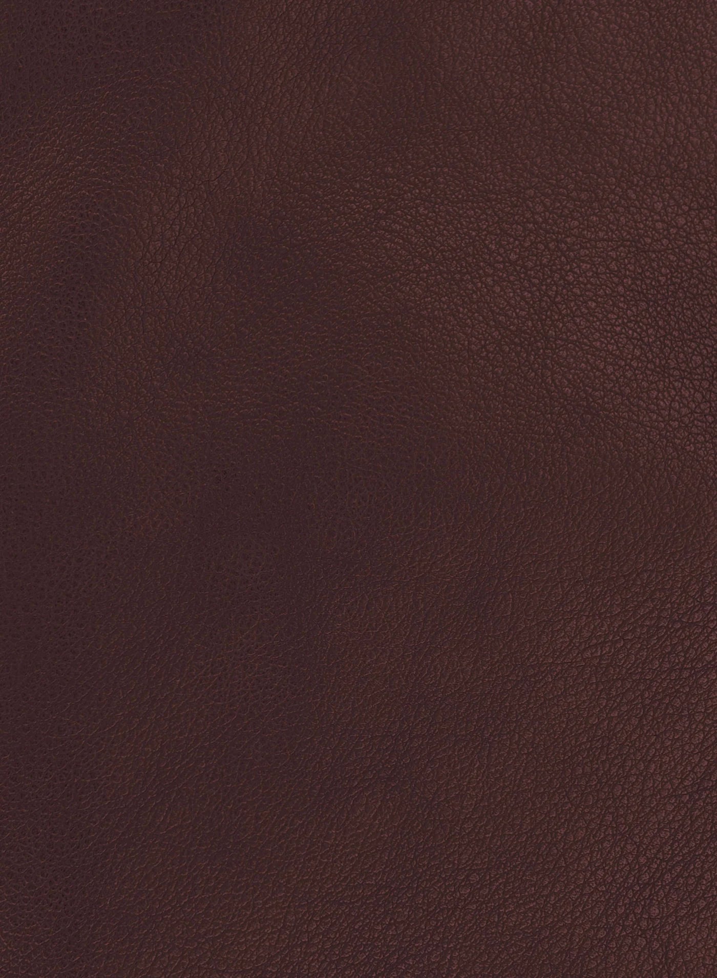 Clea Jacket -  Mulberry